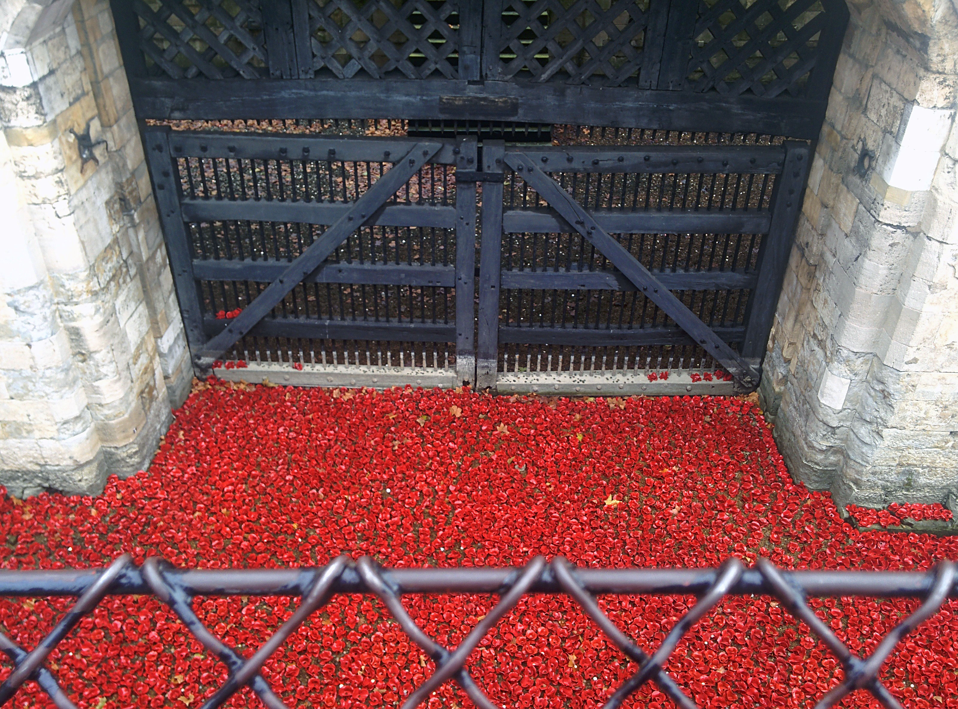 Poppies at the Tower of London